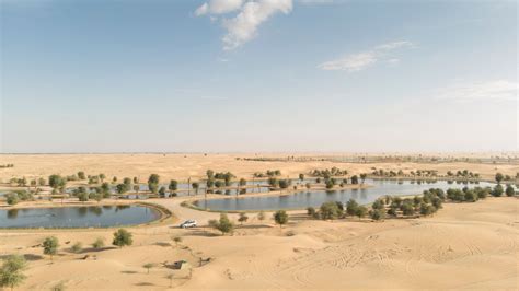 Discover Al Qudra Lake: Nature's Beauty in Dubai's Desert Captain Dunes