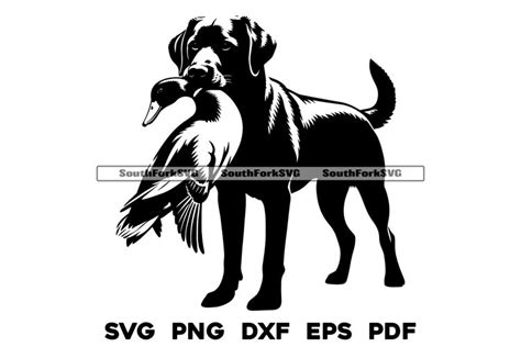 Labrador Retriever Bird Dog Duck Hunting Design (3230324)