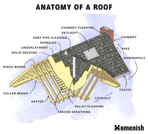 Parts of a Roof Explained (Diagram Included) - Homenish