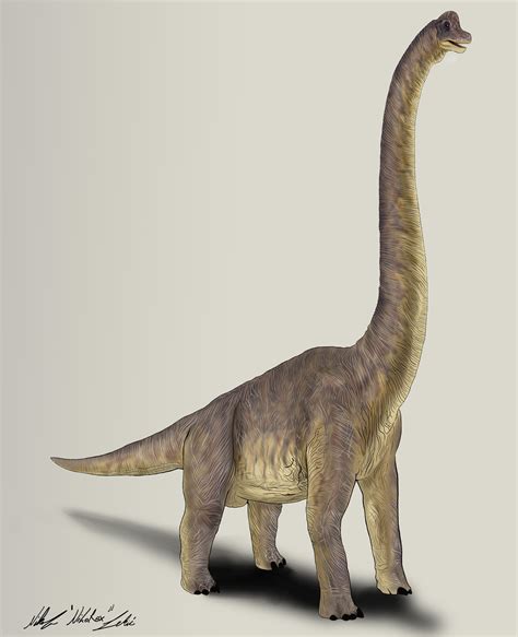 Jurassic Park Brachiosaurus by NikoRex on DeviantArt