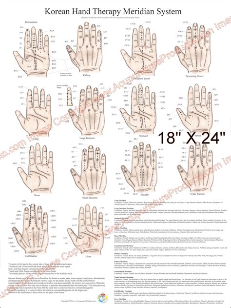 Chinese And Korean Hand Acupuncture Chart X 11 | ubicaciondepersonas.cdmx.gob.mx