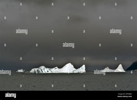 Antarctic Peninsula, icebergs Stock Photo - Alamy