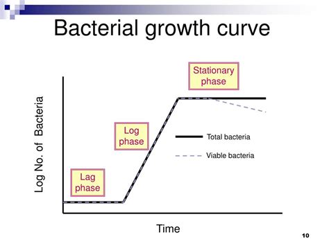 PPT - Growth and Physiology of Bacteria PowerPoint Presentation, free download - ID:1138377