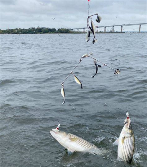 Fishing in Maryland: By Air | FishTalk Magazine