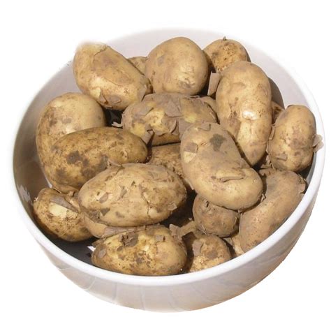 Jersey Royal New Potatoes per kilo – Bloom & Veg