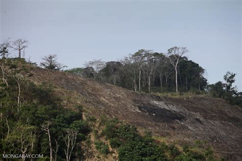 Forest clearing along the Panama Canal [panama_0063]