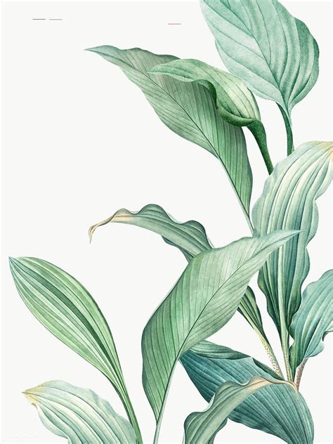 Pin by Qasrina Saffwah on leaves in 2020 | Tropical art, Plant painting, Watercolor leaves