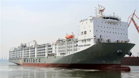 World's Largest Livestock Carrier Gains Australian Approval