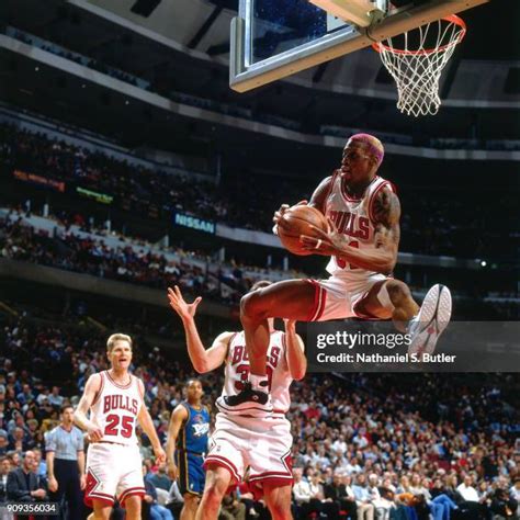 Dennis Rodman Rebound Photos and Premium High Res Pictures - Getty Images