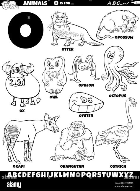 Cartoon illustration of animal characters set for letter O coloring ...