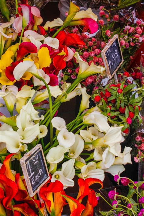 Farmers Market Flowers 17388037 Stock Photo at Vecteezy