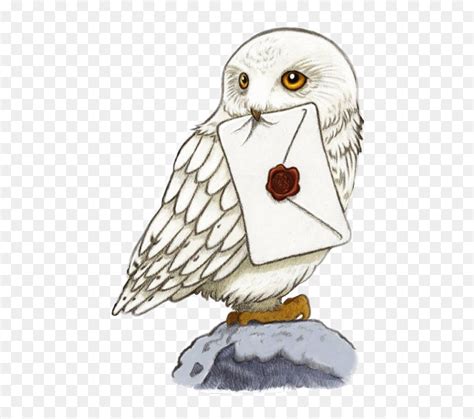 Harry Potter Owl Drawing , Transparent Cartoons - Harry Potter Hedwig ...