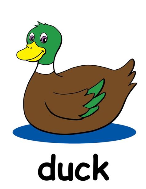 Brown duck as a picture for clipart free image download