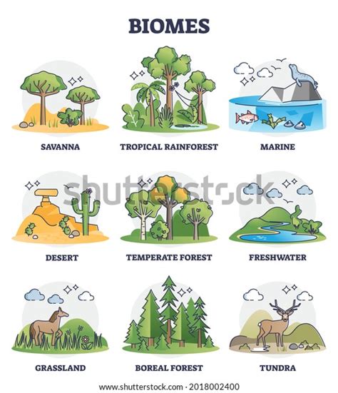 Biomes Biogeographical Climate Zones Division Outline Stock Vector (Royalty Free) 2018002400 ...