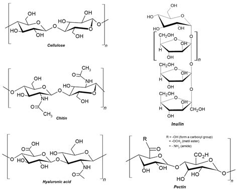 Structure Of Polysaccharides