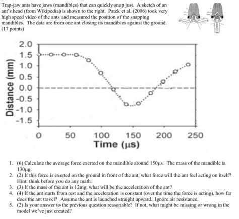 Solved Trap-jaw ants have jaws (mandibles) that can quickly | Chegg.com