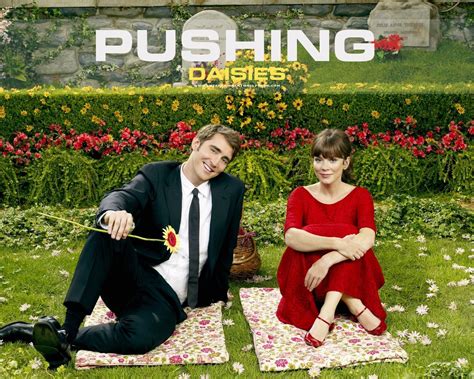 Pushing Daisies Cast - Pushing Daisies Wallpaper (791482) - Fanpop