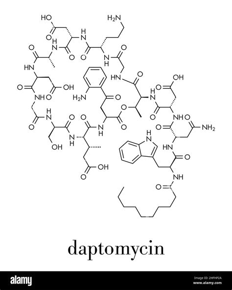 Daptomycin antibiotic drug Stock Vector Images - Alamy