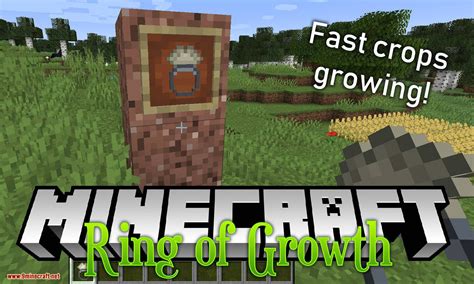 Ring of Growth Mod 1.17.1/1.16.5 (Accelerates the Growth) - 9Minecraft.Net