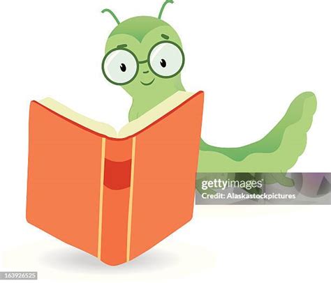 Bookworm (Insect) Photos and Premium High Res Pictures - Getty Images