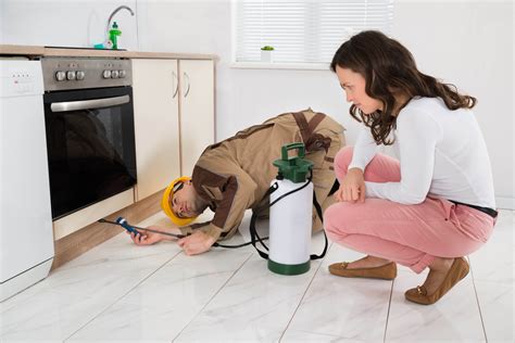 Tips to Select the very best Bug Control Services - Slam Cleaning Service