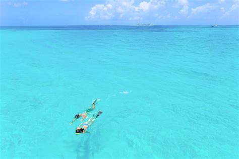 Snorkeling in The Bahamas - Sandy Toes Bahamas