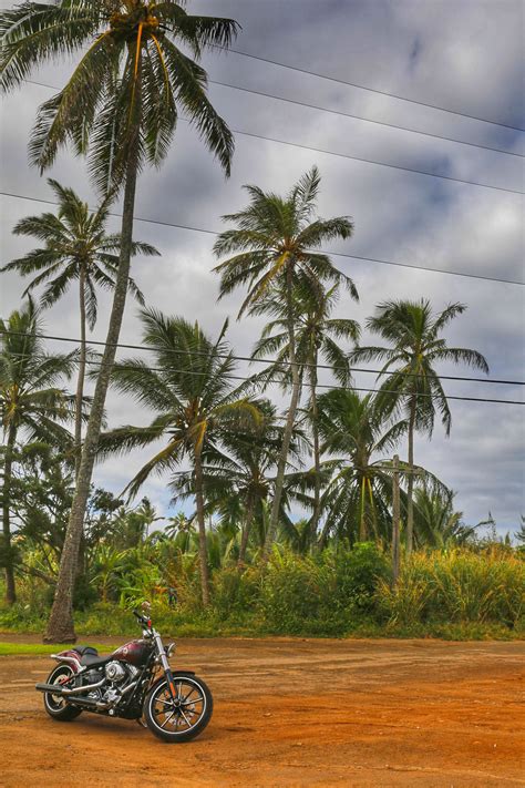 11 Reasons to Visit the North Shore of Oahu