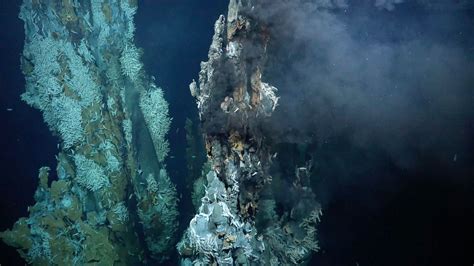 Scientists Discover Three New Hydrothermal Vent Fields on Mid-Atlantic ...