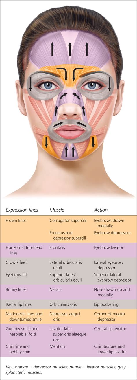 Levator Palpebrae Superioris Botox