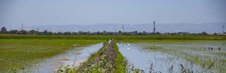 Wetlands Landscape View Free Stock Photo - Public Domain Pictures