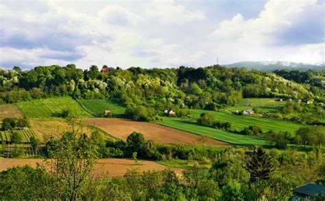 Fruska Gora National Park