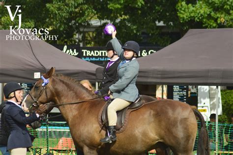 Mirfield Show 2018 | Mirfield Show