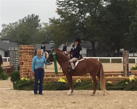 Sliders – Saddle Lake Equestrian Center