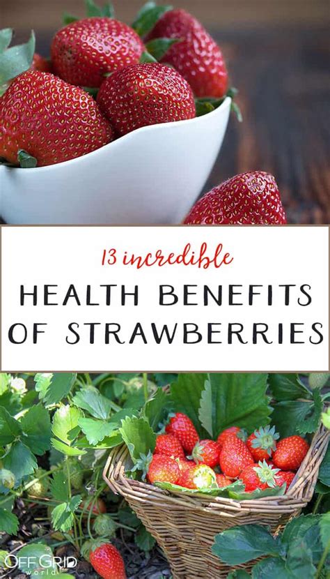 13 Health Benefits of Strawberries - Off Grid World