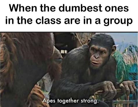 When the dumbest ones in the class are in a group. | Apes Together Strong | Know Your Meme