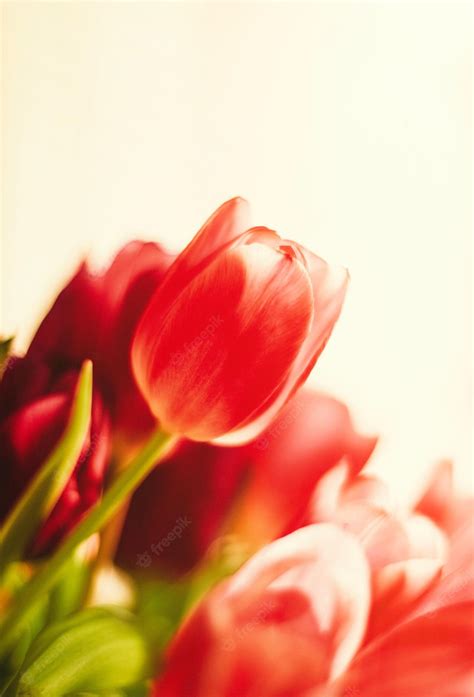 Premium Photo | Brighten up your day with flowers