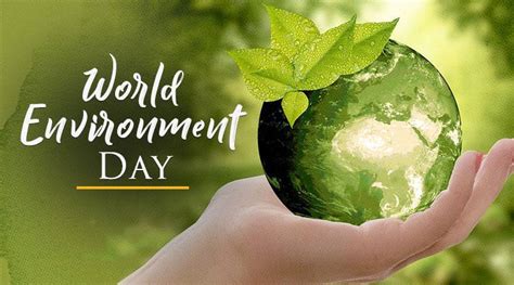 World Environment Day 2022: 50th World Environment Day 2022 observed on ...