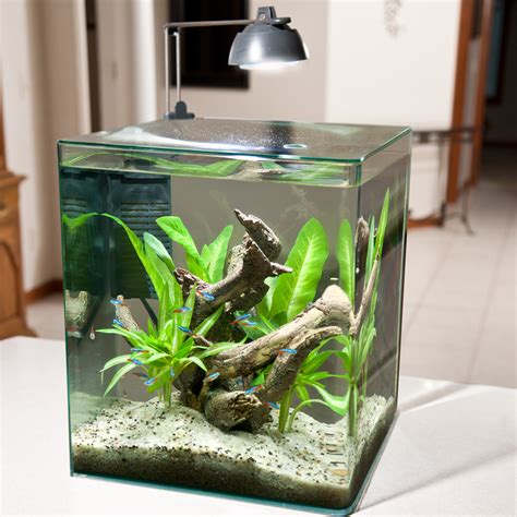 Best 5 Gallon Fish Tank And Aquarium Kit For Sale Now (Reviews 2022)