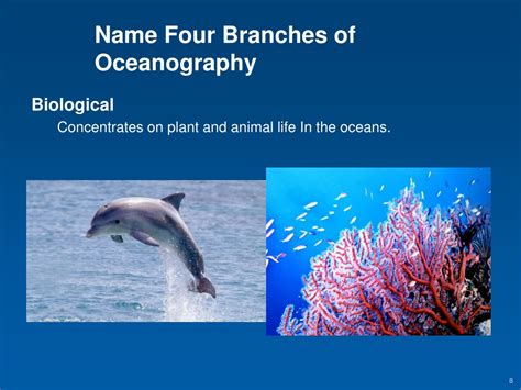 PPT - Oceanography Merit Badge PowerPoint Presentation, free download - ID:9591908