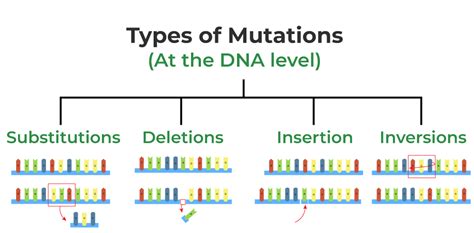 Are All Mutations And Traits Beneficial? Exploring Natures Genetic Quirks - Vườn Bưởi Tư Trung