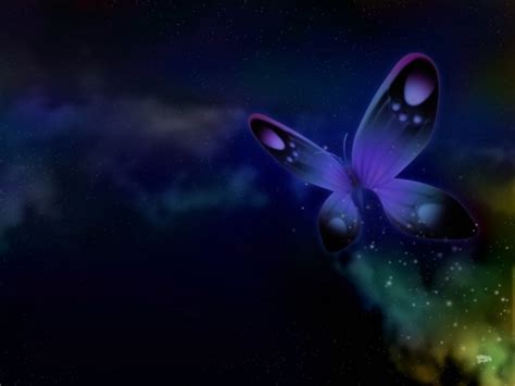 Free download Blue butterfly on Chrysanthemums wallpaper 3607 [1920x1080] for your Desktop ...