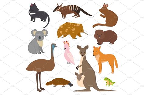 Australian wild vector animals cartoon collection australia popular animals like platypus, koala ...