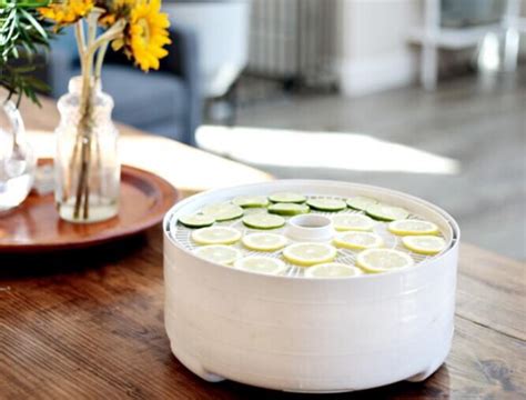 Dehydrator Buying Guide | Little Green Dot