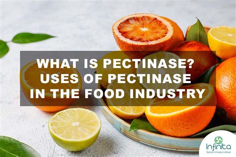 What is Pectinase? Uses of Pectinase in the Food Industry