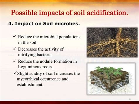 Impacts of soil acidity in wet zone Sri Lanka