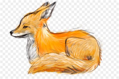 Fennec Fox Outline Drawing