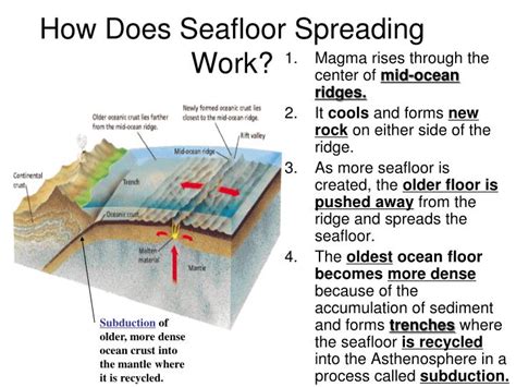 PPT - The Theory of Seafloor Spreading PowerPoint Presentation - ID:5783402