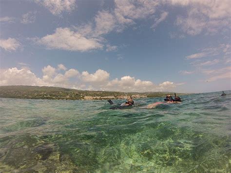 Snorkeling in MONTEGO BAY with Dressel Divers