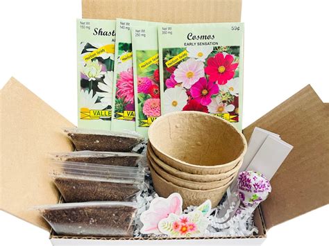 Butterfly Garden Kit Butterfly Garden Seed Kit Gift for Gardeners ...