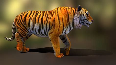 tiger walk v02 - 3D model by Unity (shehab house) (@shahabahmed ...